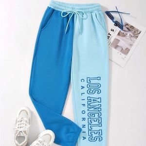 Two Tone Letter Graphic Drawstring Waist Thermal Lined Sweatpants